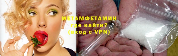 мдпв Богородск