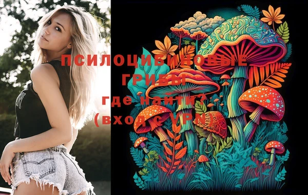 эйфоретик Богданович