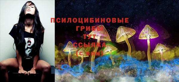 прущая мука Белоозёрский