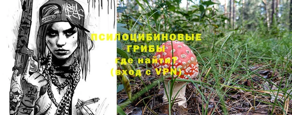 мдпв Богородск
