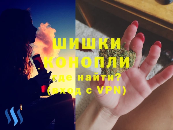 мдпв Богородск